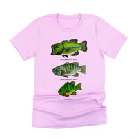 Bass And Bluegill Chart (Hand Drawn) - Unisex Tee