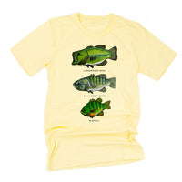 Bass And Bluegill Chart (Hand Drawn) - Unisex Tee