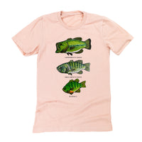 Bass And Bluegill Chart (Hand Drawn) - Unisex Tee