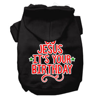 Christmas Pet Hoodie "Go Jesus, It's Your Birthday"