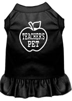 Pet Dress "Teacher's Pet"