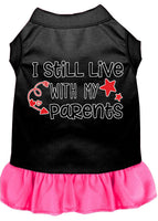 Pet Dress "I Still Live With My Parents"