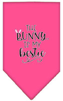 Pet and Dog Bandana Screen Printed, "The Bunny Is My Bestie"
