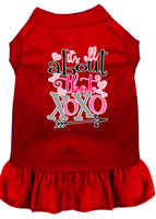 Pet Dress Screen Printed, "All About That XOXO"