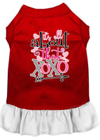 Pet Dress Screen Printed, "All About That XOXO"
