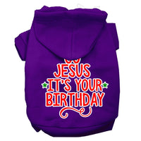 Christmas Pet Hoodie "Go Jesus, It's Your Birthday"