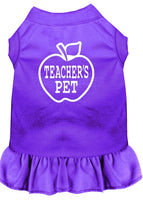 Pet Dress "Teacher's Pet"