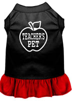 Pet Dress "Teacher's Pet"