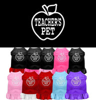 Pet Dress "Teacher's Pet"
