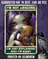 I'm Not Arguing, Just Explaining Why I'm Right - Metal Sign