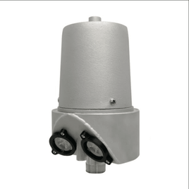 Internal Halyard Beacon