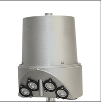 Internal Halyard Beacon