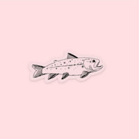 LMSS® STICKER - BROOK TROUT (PAX'S DRAWING) - CLEAR BACKGROUND