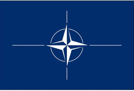 North Atlantic Treaty Organization (NATO)