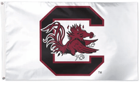 South Caroling Gamecocks