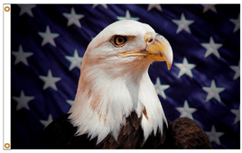 Starfield Eagle