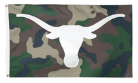 Texas Longhorns