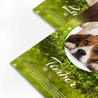 Black Edge Trading Cards