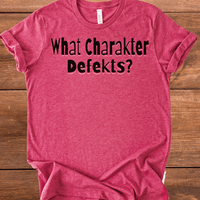 Vintage Blend Recovery T-Shirt | Inspiring Sobriety |  What Charakter Defekts?